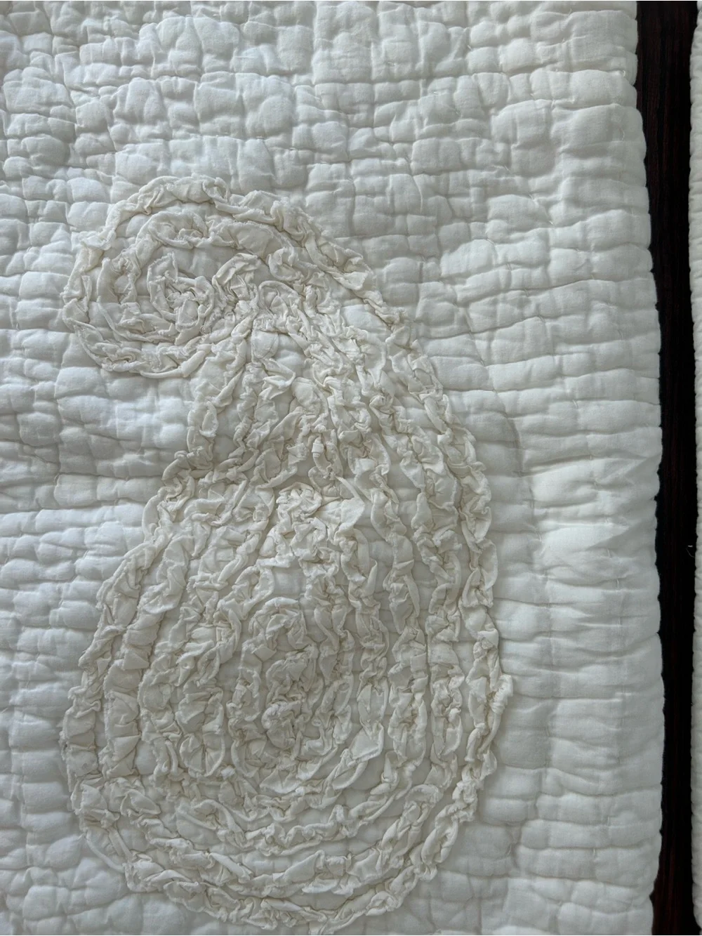 Pottery Barn Euro Pillow Sham Creamy White Textured Floral (1)